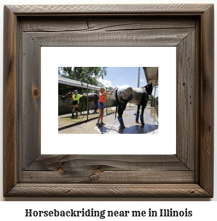 horseback riding Illinois